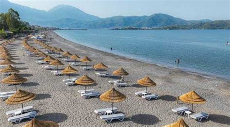 calis beach news today.